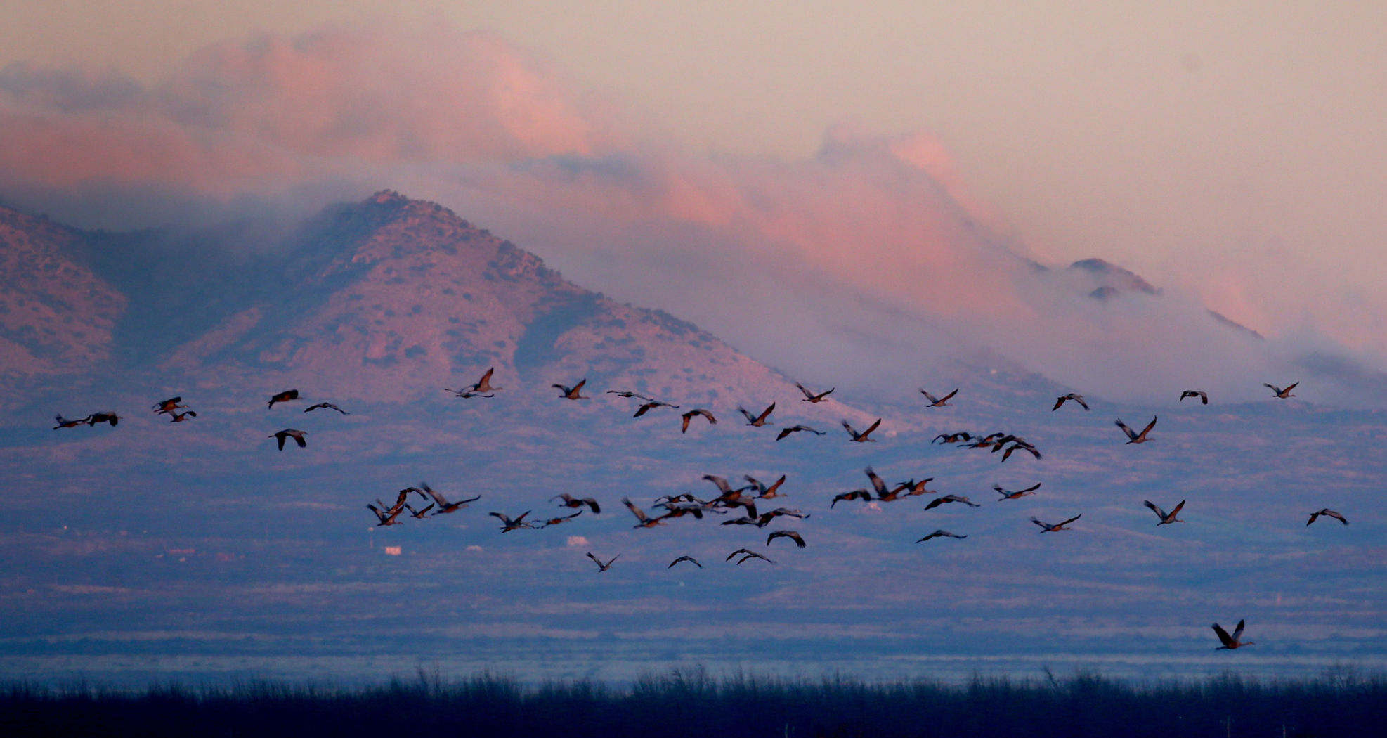 2018 Wings over Willcox